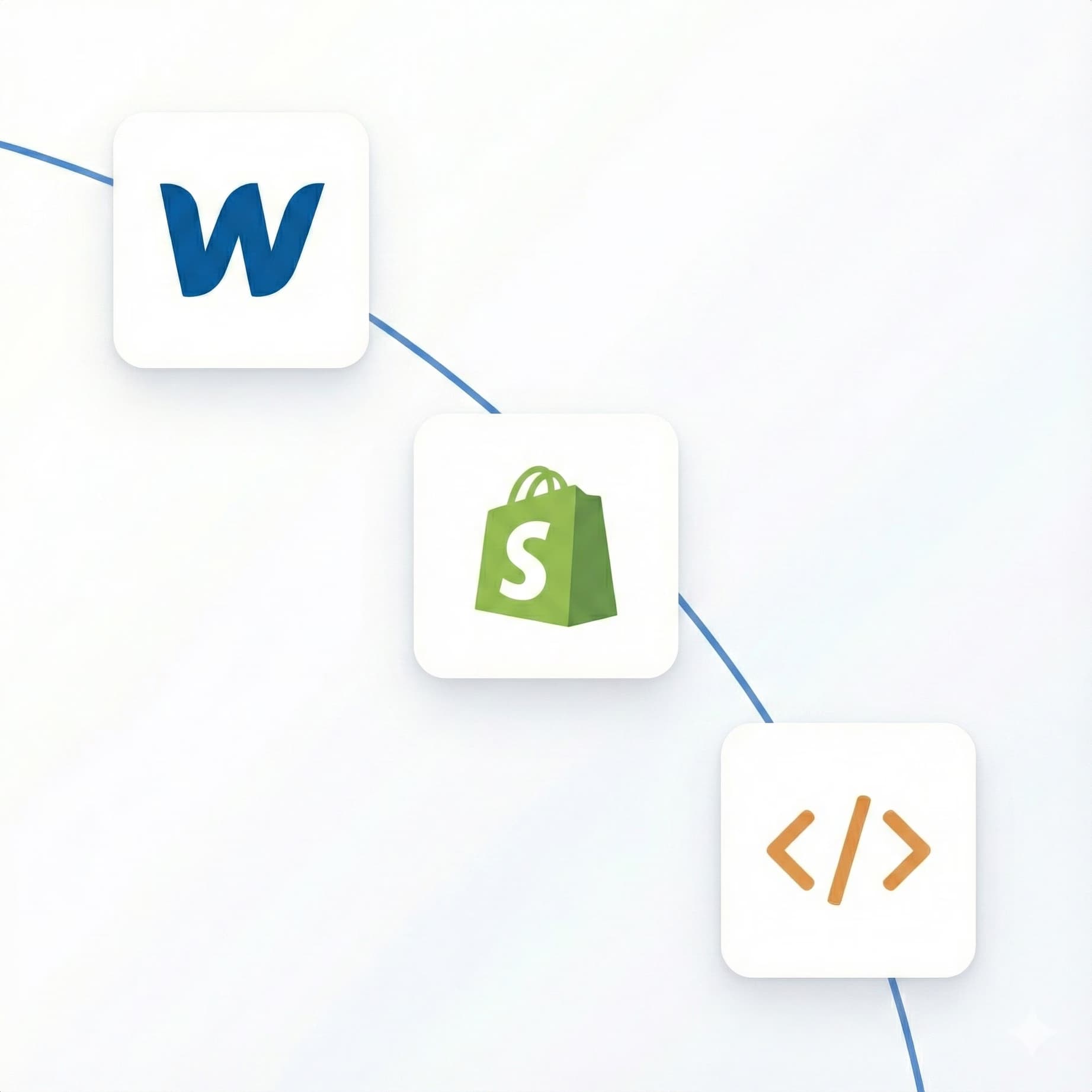 Portfolio showcase illustration